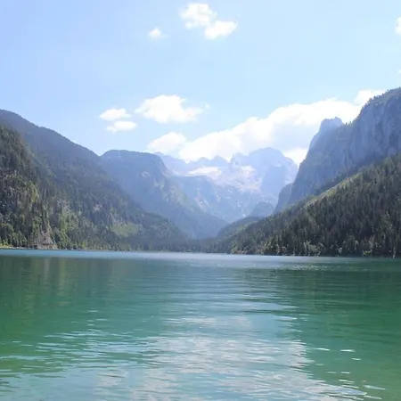 Lissis Alpennest