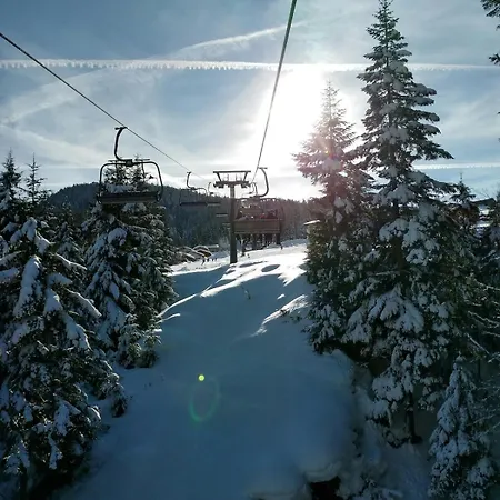 Lissis Alpennest *