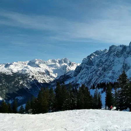 Lissis Alpennest * Gosau