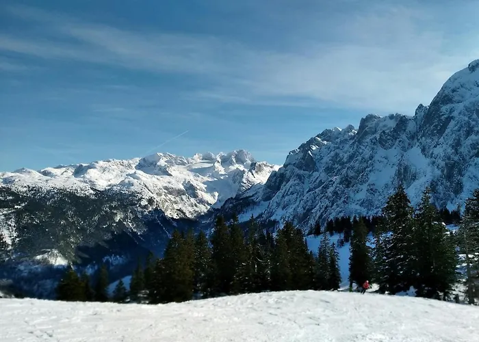 Lissis Alpennest * Gosau